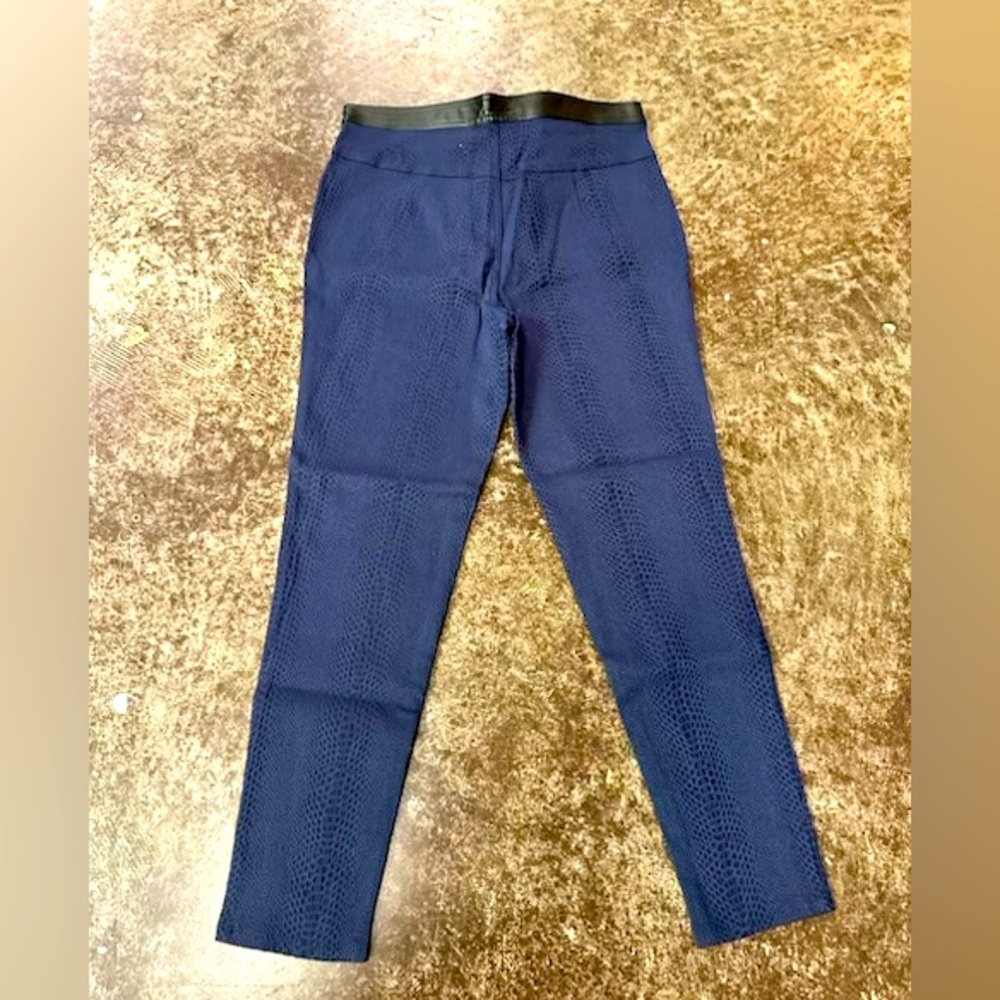 Seth Aaron Women’s Blue Dress Pants. Size 14. Excellent Condition